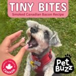 Soft & Chewy Tiny Bites, Smoked Canadian Bacon Recipe Dog Treats, 1200g Mega Pack, Made in Canada - Image 4
