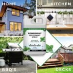 Peppermint Spray 1 Gallon Jug with PRO Sprayer for Home, Garden and Vehicle - Image 4