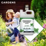 Peppermint Spray 1 Gallon Jug with PRO Sprayer for Home, Garden and Vehicle - Image 6