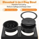 XiaZ Elevated Dog Bowls, 5 Heights Adjustable Dog Raised Bowl Stand with 1 Slow Feeder Bowl and 1 Water Bowl - Image 3