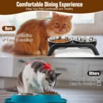 Elevated Cat Bowls, Anti Vomiting Raised Cat Food Bowl with 2 Stainless Steel Bowls, Prevent Neck Pain Cat Bowl Set, ABS Anti Slip Stand Cat Bowls for Indoor Cats & Puppies (Black) - Image 7