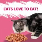Just Try 13.4 OZ 380g Urinary Tract Cat Treats for Indoor Cats Health Supplement Cranberry & D-Mannose for Kidney Bladder UT Support Salmon Flavor Crunchy Chews Cat Loves - Image 5