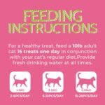 Just Try 13.4 OZ 380g Urinary Tract Cat Treats for Indoor Cats Health Supplement Cranberry & D-Mannose for Kidney Bladder UT Support Salmon Flavor Crunchy Chews Cat Loves - Image 6