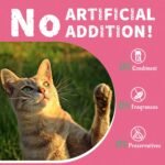 Just Try 13.4 OZ 380g Urinary Tract Cat Treats for Indoor Cats Health Supplement Cranberry & D-Mannose for Kidney Bladder UT Support Salmon Flavor Crunchy Chews Cat Loves - Image 7