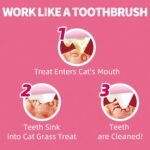 Just Try 13.4 OZ 380g Urinary Tract Cat Treats for Indoor Cats Health Supplement Cranberry & D-Mannose for Kidney Bladder UT Support Salmon Flavor Crunchy Chews Cat Loves - Image 8