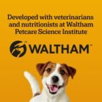 PEDIGREE DENTASTIX Oral Care Dual Flavour Bacon & Chicken Adult Dog Treats - for Large Breeds - Reduces Plaque and Tartar Buildup - 32 Sticks 670g Pouch - Image 7