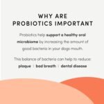 Crumps Naturals Plaque Busters Advanced - Whole Mouth Care Dental Sticks 9.5oz - Image 7