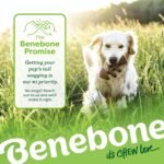 Benebone Small 4-Pack Dog Chew Toys for Aggressive Chewers, Made in USA, 30lbs and Under - Image 8