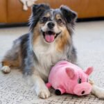 Outward Hound Fattiez Pig Plush Squeaky Dog Toy, Small - Image 6