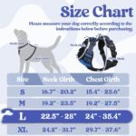rabbitgoo Dog Harnesses for Large Dogs, No Pull Pet Harness with 3 Buckles, Adjustable Soft Padded Vest with Instant Control Handle, Easy Walking Reflective Pet Vest, Blue, L - Image 3
