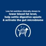 Hill's Prescription Diet i/d Low Fat Digestive Care Original Flavor Wet Dog Food, Veterinary Diet, 13 oz. Cans, 12-Pack - Image 5