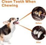 2 Pcs Dog Rope Toys for Small/Medium Dogs,Dog Toys Set for Aggressive Chewers,Interactive Teething Chew Tug Toy,War Rope Dog Toy,Interactive Dog Rope Toy for Teeth Cleaning - Image 5