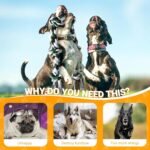 2 Pcs Dog Rope Toys for Small/Medium Dogs,Dog Toys Set for Aggressive Chewers,Interactive Teething Chew Tug Toy,War Rope Dog Toy,Interactive Dog Rope Toy for Teeth Cleaning - Image 8