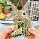 Rabbit Toys 12pcs Bunny Toy Guinea Pig Treats Timothy Hay Chew Toys Chips with Herbal Flowers Hamster Snacks Chinchillas Gerbils for Teeth Apple Sticks Sweet Bamboo - Image 7