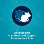 Forti-Diet Pro Health Kaytee Small Animal Food for Mouse and Pet Rats, 3-Pound - Image 7