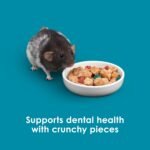 Forti-Diet Pro Health Kaytee Small Animal Food for Mouse and Pet Rats, 3-Pound - Image 9