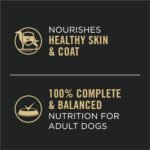 Purina Pro Plan Complete Essentials Wet Dog Food, Entree Variety Pack 2 Flavours - 368 g Can (12 Pack) - Image 6