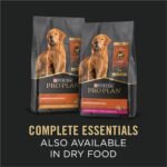 Purina Pro Plan Complete Essentials Wet Dog Food, Entree Variety Pack 2 Flavours - 368 g Can (12 Pack) - Image 7