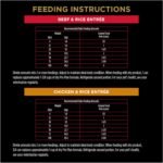 Purina Pro Plan Complete Essentials Wet Dog Food, Entree Variety Pack 2 Flavours - 368 g Can (12 Pack) - Image 11