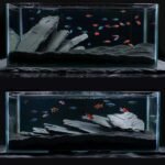 Natural Slate Stone Reptile Basking Platform Rock 10lb Fish Tank Rocks for Aquascaping Terrarium Decoration Reptile Habitats Tortoise Enclosures(2-6 inches) - Image 7