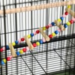 PawHut 52" Bird Cage for Budgies Cockatiels Canaries Lovebirds Finches with Rolling Stand, Toys, Removable Tray, Storage Shelf, Black - Image 10