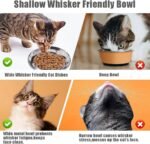 Cat Bowls Food Dishes for Indoor Cats Stainless Steel Cats Shallow Whisker Friendly Cat Food Water Dishes Bowls Whisker Fatigue Relief Dishwasher Safe 2Pcs - Image 3