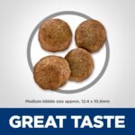 Hill's Science Diet Adult Sensitive Stomach & Skin Chicken Recipe Dry Dog Food 13.6 kg Bag - Image 5