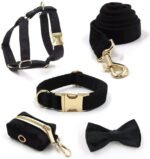 PETDURO Custom Dog Collar Personalized with Name Engraved Gold Metal Buckle for Large Medium Small Boy and Girl Dogs - Dog Leash and Bow Tie Set Available - Soft Comfy Velvet (Black G, M) - Image 5