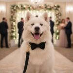 PETDURO Custom Dog Collar Personalized with Name Engraved Gold Metal Buckle for Large Medium Small Boy and Girl Dogs - Dog Leash and Bow Tie Set Available - Soft Comfy Velvet (Black G, M) - Image 7