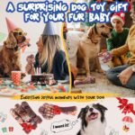 Dog Chew Toys for Aggressive Chewers：2 Pack Indestructible Dog Toy for Large Breed- Tough Nylon Teething Bone Toy to Keep Them Busy - Image 7