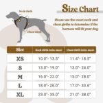 rabbitgoo Dog Harness, No-Pull Pet Harness with 2 Leash Clips, Adjustable Soft Padded Dog Vest, Reflective No-Choke Pet Oxford Vest with Easy Control Handle for Small Dogs, Black, XS - Image 3