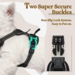 rabbitgoo Dog Harness, No-Pull Pet Harness with 2 Leash Clips, Adjustable Soft Padded Dog Vest, Reflective No-Choke Pet Oxford Vest with Easy Control Handle for Small Dogs, Black, XS - Image 5