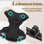 rabbitgoo Dog Harness, No-Pull Pet Harness with 2 Leash Clips, Adjustable Soft Padded Dog Vest, Reflective No-Choke Pet Oxford Vest with Easy Control Handle for Small Dogs, Black, XS - Image 6