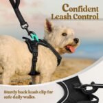 rabbitgoo Dog Harness, No-Pull Pet Harness with 2 Leash Clips, Adjustable Soft Padded Dog Vest, Reflective No-Choke Pet Oxford Vest with Easy Control Handle for Small Dogs, Black, XS - Image 8