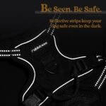 rabbitgoo Dog Harness, No-Pull Pet Harness with 2 Leash Clips, Adjustable Soft Padded Dog Vest, Reflective No-Choke Pet Oxford Vest with Easy Control Handle for Small Dogs, Black, XS - Image 9