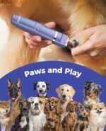 oneisall 4-in-1 Cordless Dog Grooming Kit with 2-Speed Clippers, Low Noise Paw Trimmer & Rechargeable Quiet Nail Grinder for Dogs and Cats （Blue） - Image 9