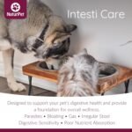 NaturPet Intesti Care for Cats and Dogs | Natural Alternative to Chemical Wormers | Promotes a Healthy intestinal Tract | Contains Diatomaceous Earth | 165g - Image 3