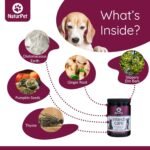 NaturPet Intesti Care for Cats and Dogs | Natural Alternative to Chemical Wormers | Promotes a Healthy intestinal Tract | Contains Diatomaceous Earth | 165g - Image 4