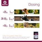 NaturPet Intesti Care for Cats and Dogs | Natural Alternative to Chemical Wormers | Promotes a Healthy intestinal Tract | Contains Diatomaceous Earth | 165g - Image 6