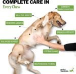Deley Naturals Dog Multivitamins Chewable - 15 in 1 Dog Vitamins and Supplements for Immune System, Skin, Joint Support & Digestion - Multivitamin with MSM, Glucosamine & Chondroitin for All Ages - Image 4