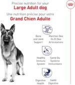 Royal Canin Large Breed Adult Dry Dog Food, 30 lb Bag - Image 4