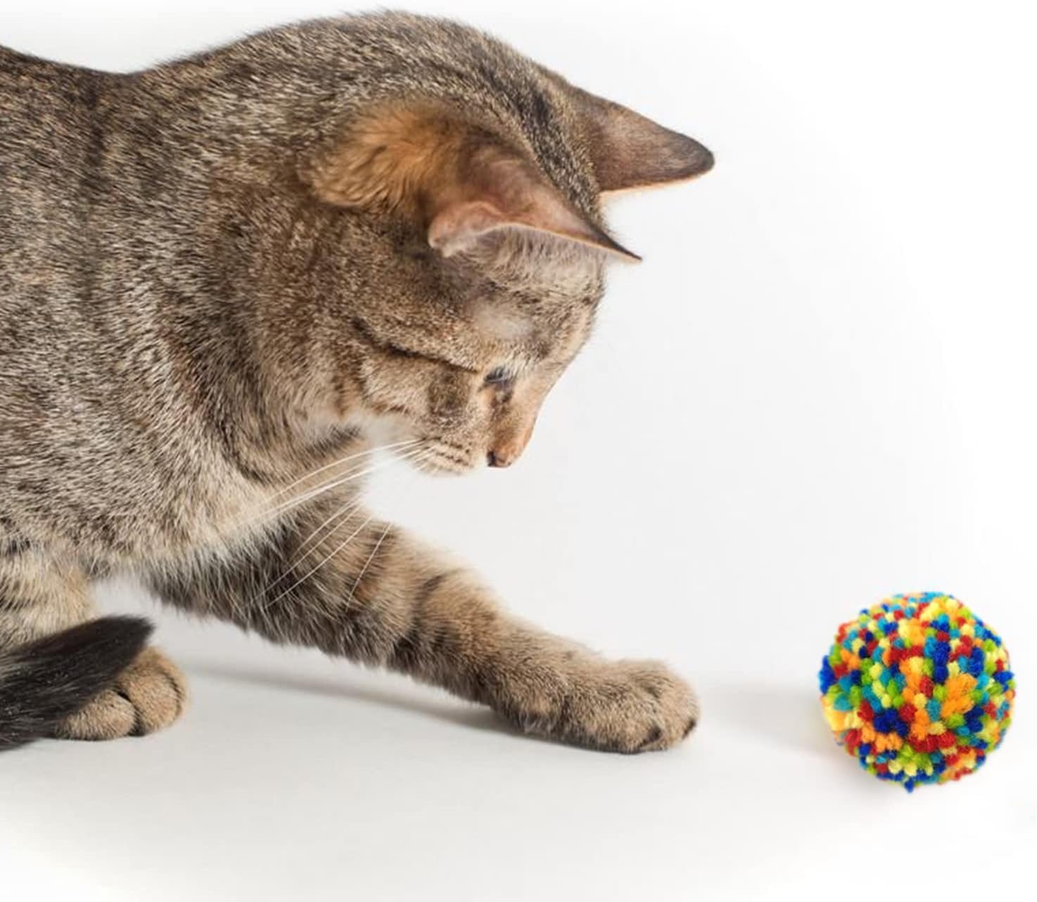 Andiker 6 Pieces Cat Toys Ball, Soft Kitten Assorted Color Pompom Balls for Cat Indoor Interactive Chasing Toys - Image 5