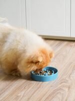 LE TAUCI Ceramic Slow Feeder Dog Bowls Small Breed, 0.6 Cups Dog Food Dish for Fast Eaters, Puzzle Bowl for Small Dogs and Cats,Vortex Blue - Image 3