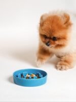 LE TAUCI Ceramic Slow Feeder Dog Bowls Small Breed, 0.6 Cups Dog Food Dish for Fast Eaters, Puzzle Bowl for Small Dogs and Cats,Vortex Blue - Image 7