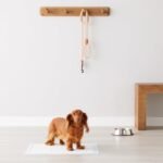 Amazon Basics Dog and Puppy Pads, Leak-Proof 5-Layer Pee Pads with Quick-Dry Surface for Potty Training, Regular (22 x 22 Inches) - Pack of 100 - Image 7