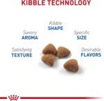 Royal Canin Feline Health Nutrition Indoor Adult Dry Cat Food, 7-Pound - Image 4