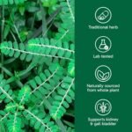 Organika Canadian-Made Chanca Piedra 500 mg - UTI Support | Kidney, Gallblader and Urinary Support, Cleansing- 90 vcaps - Image 4