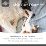 Dr. Maggie Skin Care Ointment for Cats and Dogs | Wound Care & Pet First Aid Ointment | 30g - Image 3