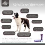 Dr. Maggie Skin Care Ointment for Cats and Dogs | Wound Care & Pet First Aid Ointment | 30g - Image 5