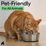 GORILLA GRIP Stainless Steel Metal Dog Bowl Set of 2, Rubber Base, Heavy Duty, Rust Resistant, Food Grade BPA Free, Less Sliding, Quiet Pet Bowls for Cats and Dogs, Holds 2 Cups (16 fl oz), Black - Image 10